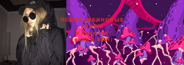 мдпв Богородицк