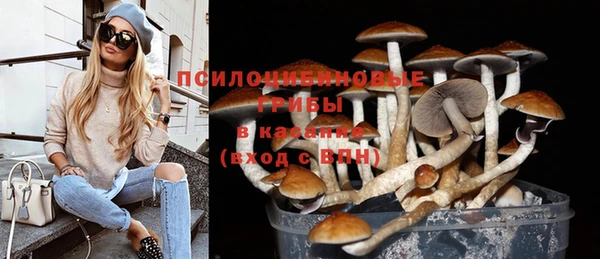 мяу мяу мука Верхний Тагил