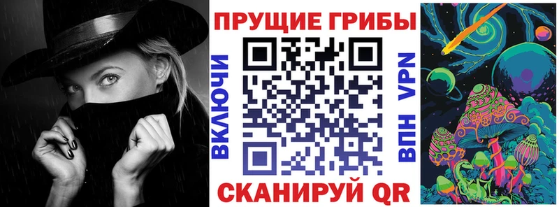 KRAKEN ССЫЛКА  Истра  Галлюциногенные грибы Magic Shrooms 